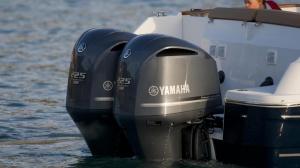 Yamaha (Ямаха) FL 225 FETX