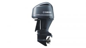 Yamaha (Ямаха) F 250 DETX