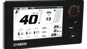 Yamaha (Ямаха) F 175 AETL