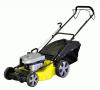 Champion (Чемпион) LM 5345 BS