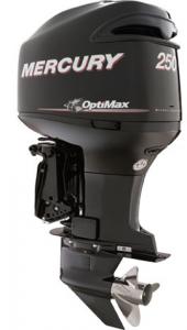 Mercury (Меркури) ME 250 CXXL Optimax