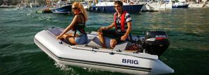 BRIG (БРИГ) D300