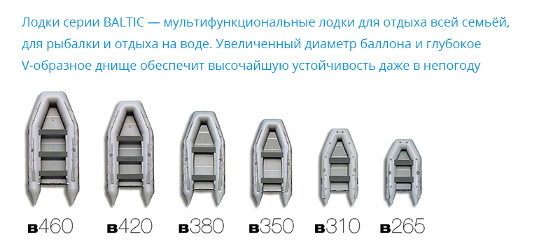 лодки BRIG серии Dingo